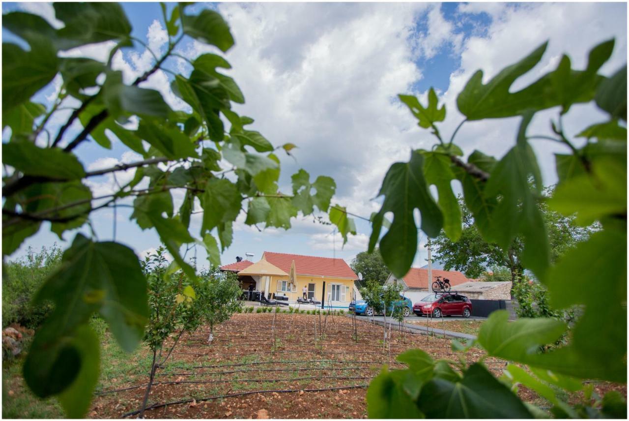 מלון Razvode House Mellifera מראה חיצוני תמונה
